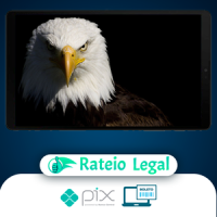 Mentoria  Águias Do Tiktok - Samuka