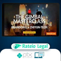 The Gimbal Masterclass - Brandon Li [INGLÊS]