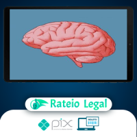 Como Atingir com Sucesso a Sua Meta - Jeferson Peres