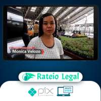 Japonês Básico: Escreva em Japonês - Monica Velozo