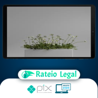 Shading no Blender para Iniciantes - Rafael Vallaperde