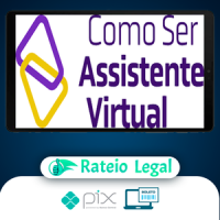 Como Ser Assistente Virtual - Camile Just