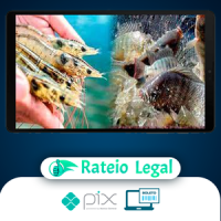 Criação de Camarão Marinho e Tilápias em Bioflocos: Longe do Mar em Tanques de Geomembrana e Ferrocimento - My Fish World