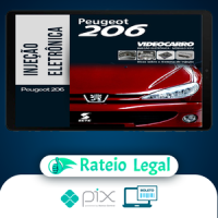 Injeção Eletrônica: Peugeot 206 - VideoCarro