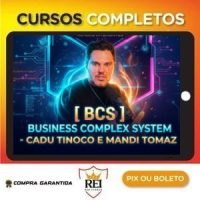 BCS Business Complex System - Cadu Tinoco e Mandi Tomaz
